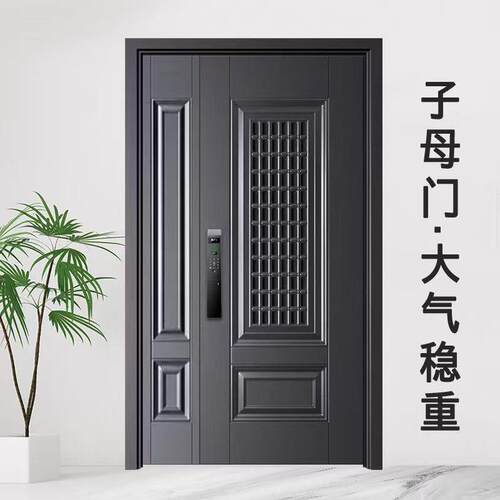 标甲级通风防盗门透气门中门入户单门子母安装外贸供应链工厂货源