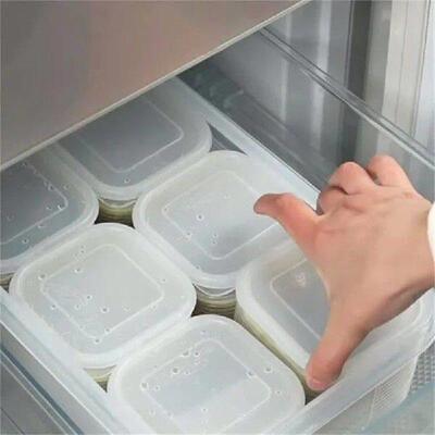 Refrigerator Storage Box 6 Grid Food Vegetable Fruit