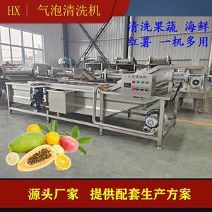 高压喷淋气泡清洗机中房果蔬加工机械多功能水果青菜清洗设备