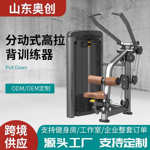 健身房商用室内运动健身器材高拉力背肌下拉训练器大型力量器械
