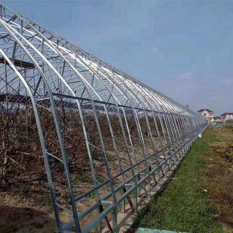 大棚钢管骨架 双膜骨架大棚  温室大棚 椭圆管大棚,农机/农具/农膜,温室大棚支架,淘宝优惠券,粉丝福利购,淘宝优惠卷