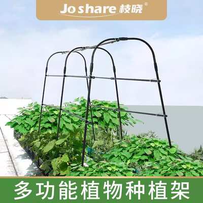 丝瓜种植架子豆角  瓜架枝晓 多功能箱黄四季豆蔬菜 爬藤架14葫芦