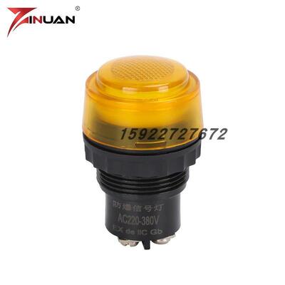 803060防爆信号灯指示灯DC24V36VAC220V380V红绿防爆配电箱LED灯