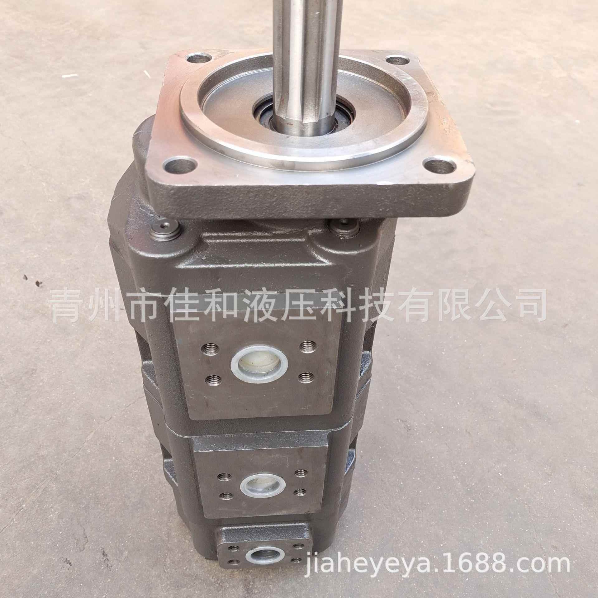 三一重工QY25齿轮泵 三一吊车齿轮泵 60004298