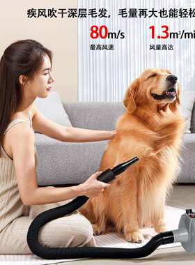 跨境狗狗吹风机大神功率宠物毛吹水机猫烘咪干吹水机大型犬吹器88