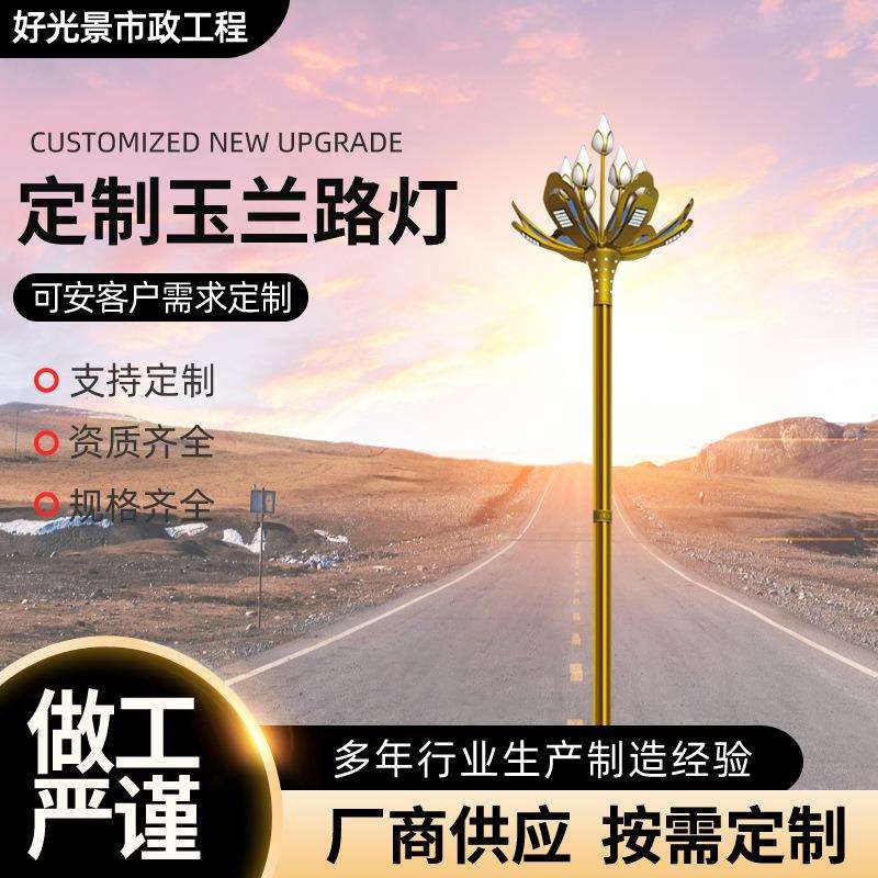 户外庭院灯新农村工程太阳能路灯6米led道路照明灯灯具厂家