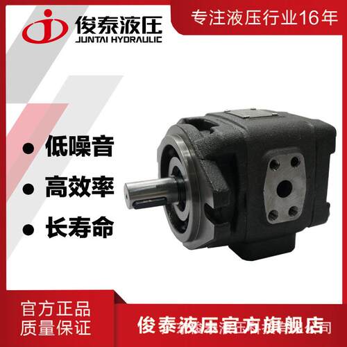 厂家直供 双向流量压力平稳齿轮泵 伺服变频驱动内啮合齿轮泵