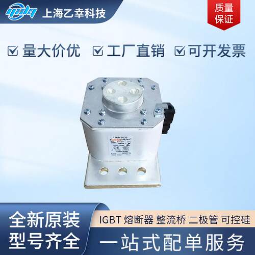 巴斯曼熔断器 170M7513 170M7516 170M7517 170M7520 170M7521