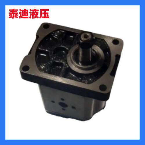 MARZOCCHI马祖奇齿轮泵ALP2A-D-12-FG液压泵