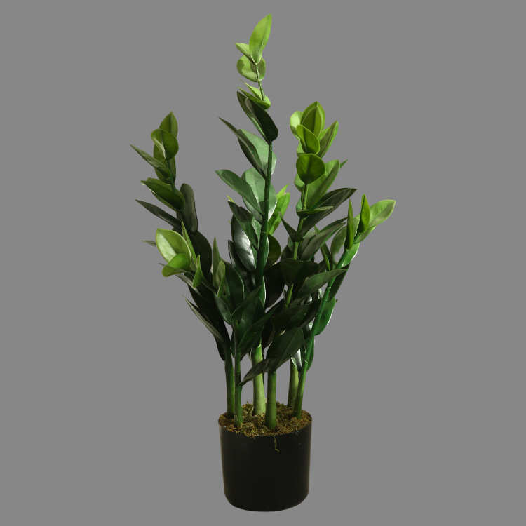 仿真客厅植植物春季盆栽室内植绿绿树办公室绿金钱植假盆景