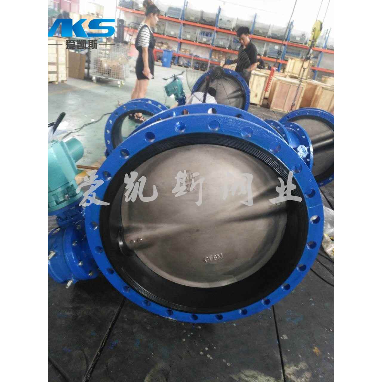 中线蝶阀法兰软密封蝶阀D341X-16C-温州阀门厂DN40-DN1200