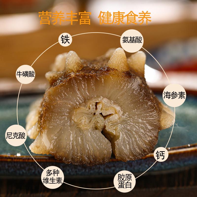 大连即食海参500g 正宗新鲜深海辽刺参 开袋即食 滋补佳品