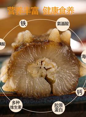 大连即食海参500g 正宗新鲜深海辽刺参 开袋即食 滋补佳品