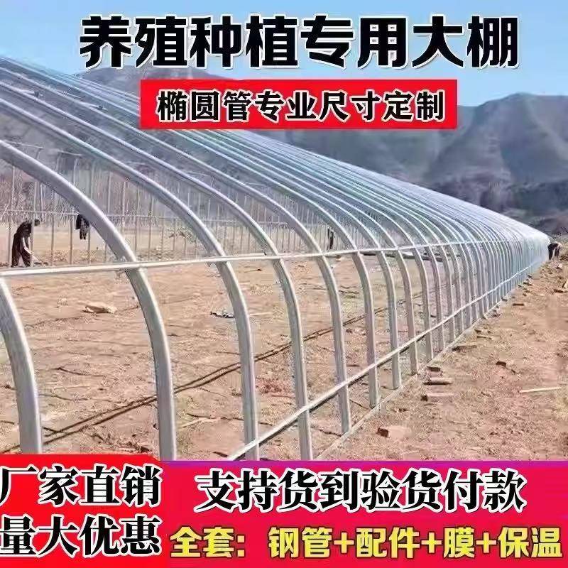 温室大棚骨架钢管养殖种植家用全套猪鸡舍钢架连栋配件简易蔬菜棚
