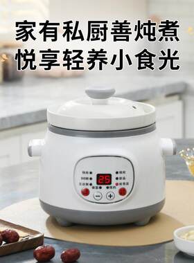 汤瓷电炖锅煲粥专用用锅小陶型炖锅BH-A1845宝宝辅食家全自动煲锅