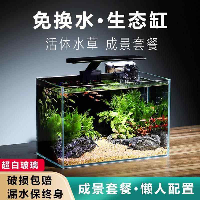 鱼缸客厅小型生态造景全套桌上小鱼缸桌面电视柜旁家用免换水超白