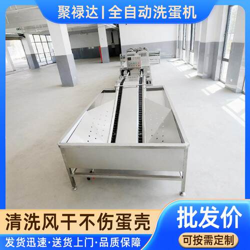 商用鹅蛋清洗机设备不锈钢鸡鸭蛋清洗机全自动双排洗蛋机器