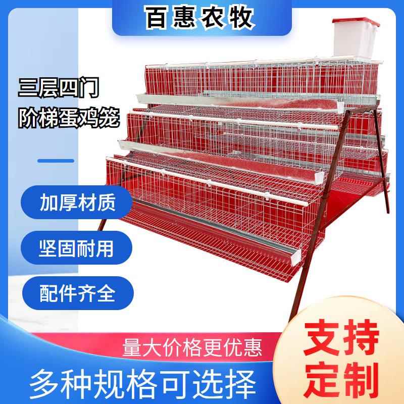 养殖场用三层四门蛋鸡笼设备热镀锌多层阶梯式笼养鸡设备厂家直销