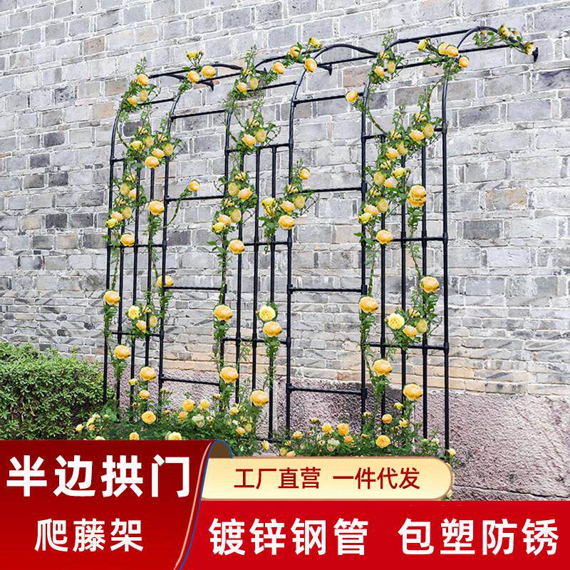 2025新款花园半边拱门不锈钢一体靠墙花架室外庭院月季爬藤支架子