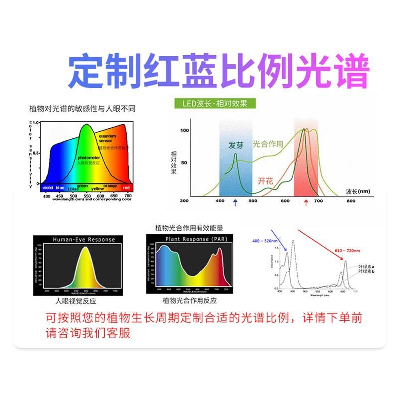 LED株间灯全光谱双面发光西红柿黄瓜室内蔬菜农业大棚植物生长灯