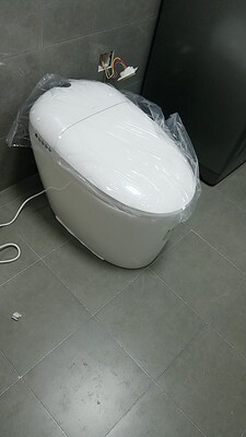 帝王洁具乐悦智能马桶真实感受揭秘！我入手不后悔