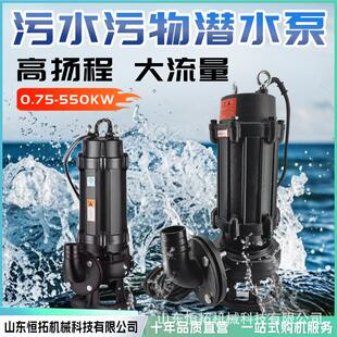永磁防汛泵大流量高扬程变频潜水泵便携式应急排涝轴流泵
