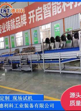 小龙虾清洗机全自动压水气泡清洗机小龙虾清洗蒸煮成套流水线