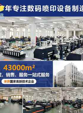 F花LY60墨m白烫画打印机成品T恤数码印机dctf材质柯式烫FLX画打印