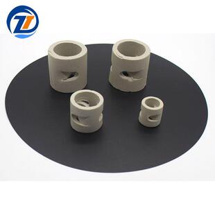 陶瓷鲍尔环散堆填料162538现货