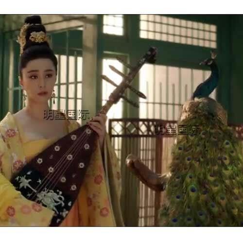 天然蓝孔雀标本 白孔雀羽毛彷真鸟标本 手工艺家居装饰品摆件道