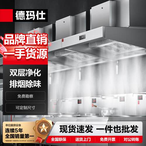 徳玛仕商用油烟净化器大型抽油烟机油雾净化一体机厨房吸油烟机