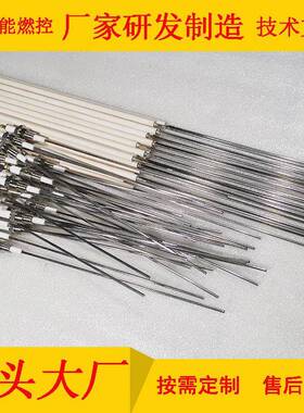 离子探针火焰检测器tL=798