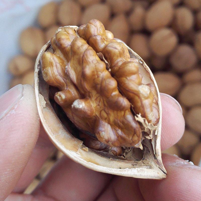 稀有品种新疆温81薄皮核桃2025年新货生原味纸皮核桃坚果香甜不涩