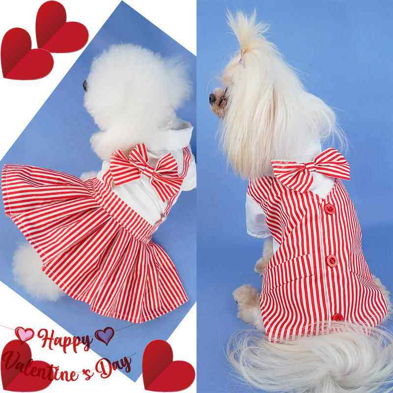 宠物狗狗学生服宠物衣服情侣装裙子西装条纹春夏猫咪