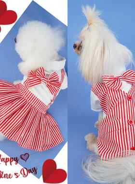 宠物狗狗学生服宠物衣服情侣装裙子西装条纹春夏猫咪