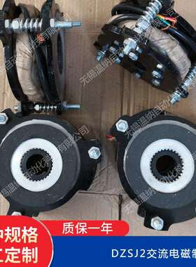 DZSJ2-150 DZSJ2-200 DZSJ2-300交流电磁失电制动器