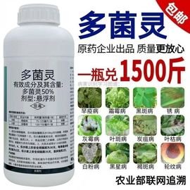 多菌灵悬浮剂白粉病炭疽病叶斑霜霉病锈病果树蔬菜花卉多肉杀菌剂