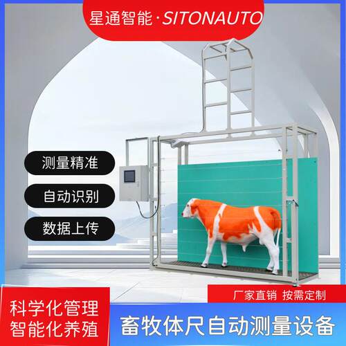 星通智能牛羊体尺体重自动测量设备无接触精度精准快速科学管理