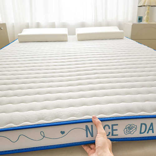 定制2025新款热卖亲肤透气乳胶记忆海绵立体床垫保护垫舒适床垫