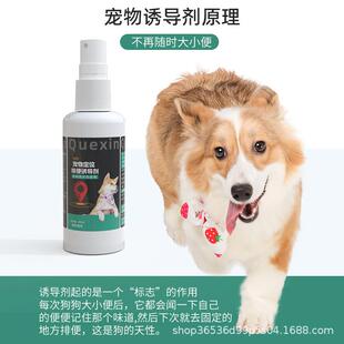 新款直销狗狗厕所诱导剂狗大小便训练上厕所引便便尿尿宠物定点排
