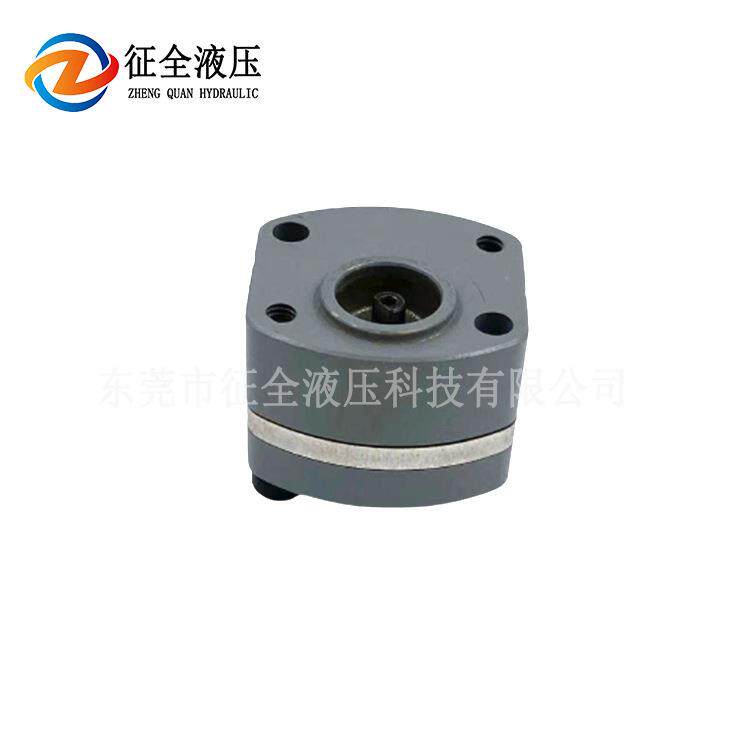征全无人航拍飞机齿轮泵小型微型飞机燃油泵低压泵电动机系统油泵