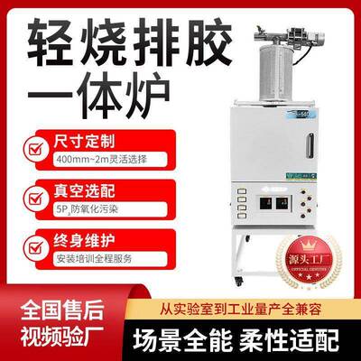 排胶烧结一体炉自动排胶程序废气温分解包防爆系统源头厂家现货