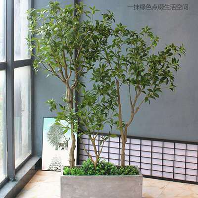 仿真马醉木中日式服装酒店客厅橱窗落地花艺造景绿植物塑料套磊岷