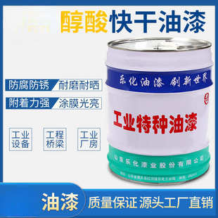 工业油漆栏杆金属防锈漆调合漆钢结构防锈快干醇酸油漆15kg