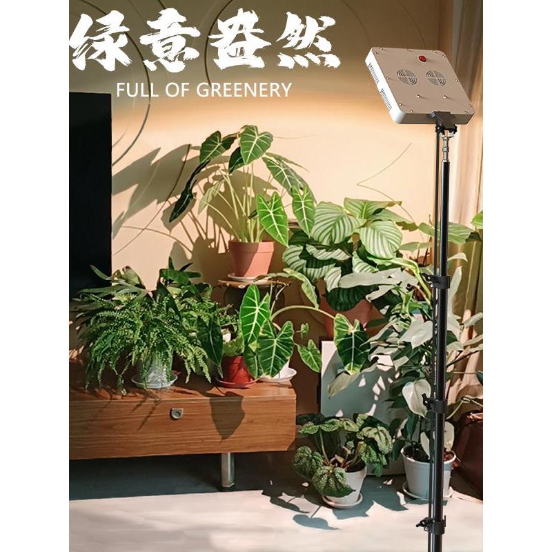 世纪核心植物补光模拟阳光全光谱室内阳台落地式多肉特殊补光