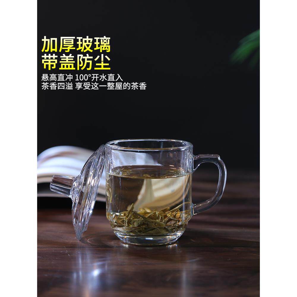 玻璃杯带把手大容量喝水杯家用套装牛奶杯办公室加厚带盖泡茶杯子