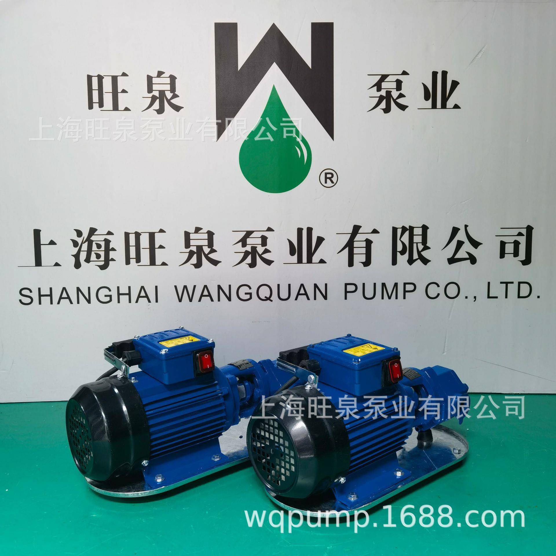 上海旺泉WCB-50-220V微型齿轮式输油泵、手提式微型油泵