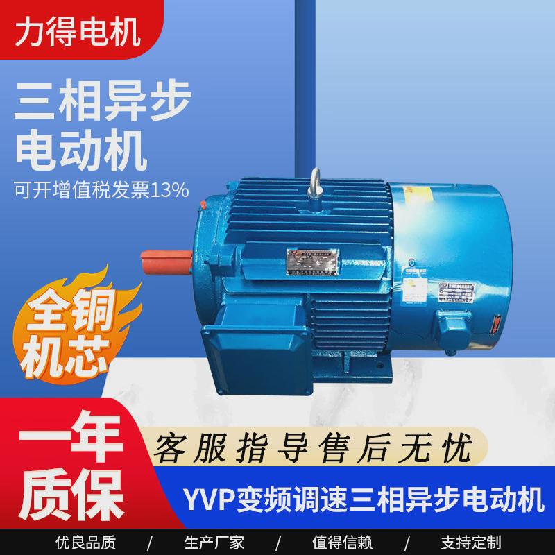 制动yvp变频调速电机三相变频电机变频现货供应电动机