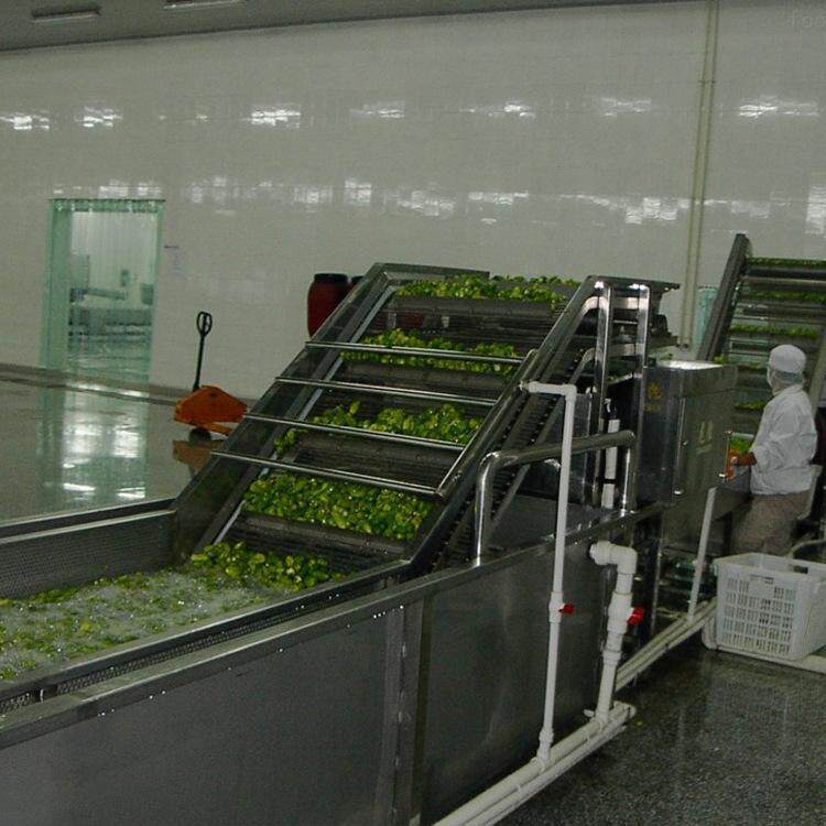 保鲜花椒加工流水线设备 气泡清洗机 蒸汽杀青机 沥水吹干机