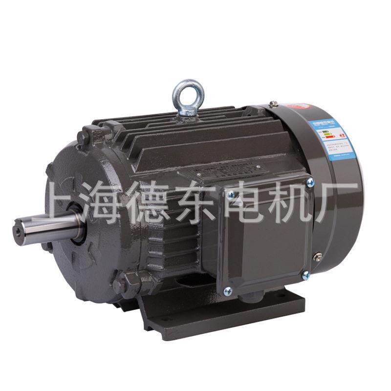 上海德东 YE2 YE3 100L1-4 2.2KW 三相异步电动机 马达